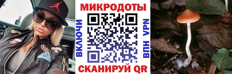 Псилоцибиновые грибы мухоморы  OMG tor  Лениногорск 